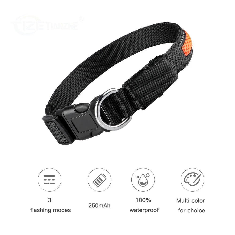 LED Luminous Safety Dog Collar