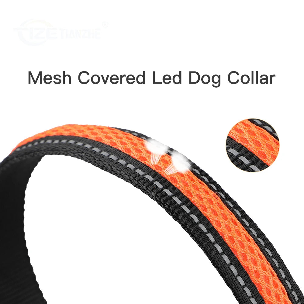 LED Luminous Safety Dog Collar