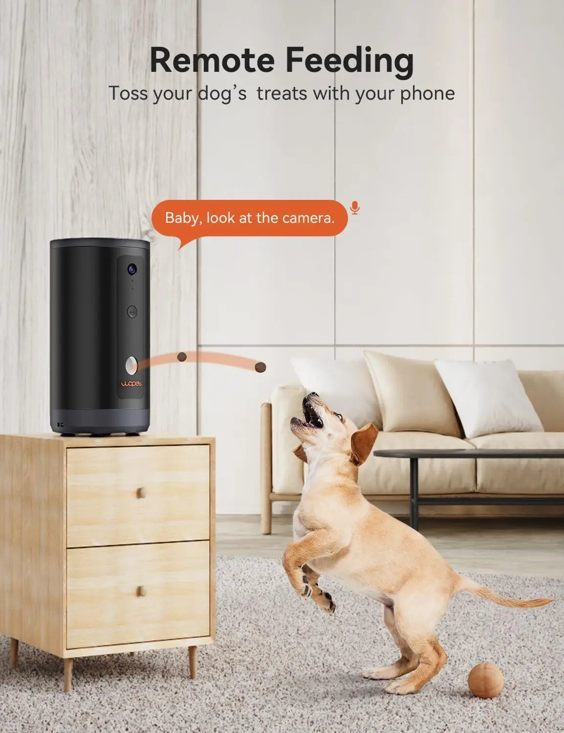 Pet Camera Treat Tossing for Cats and Dogs