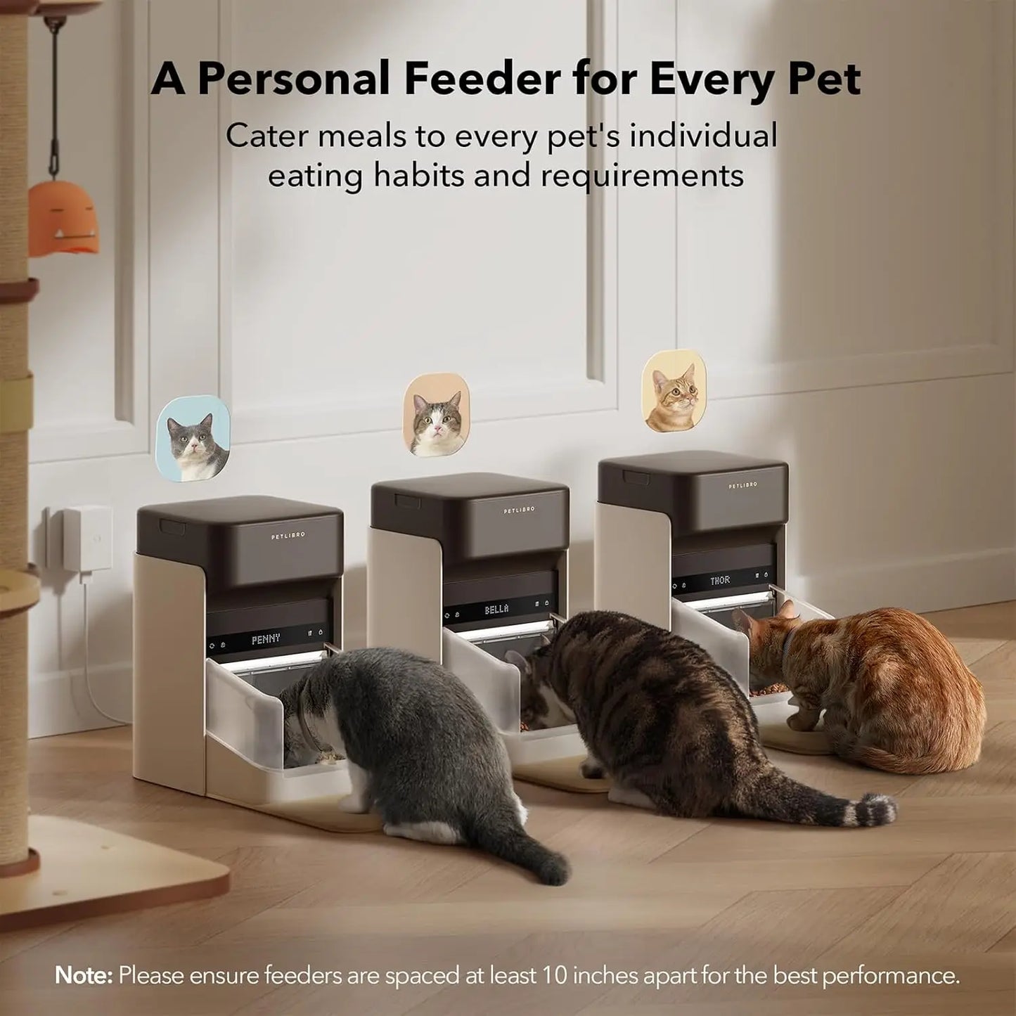 Cat Feeder, 5G Wi-Fi Automatic Pet Feeder, 3L Auto Cat Feeder App Control