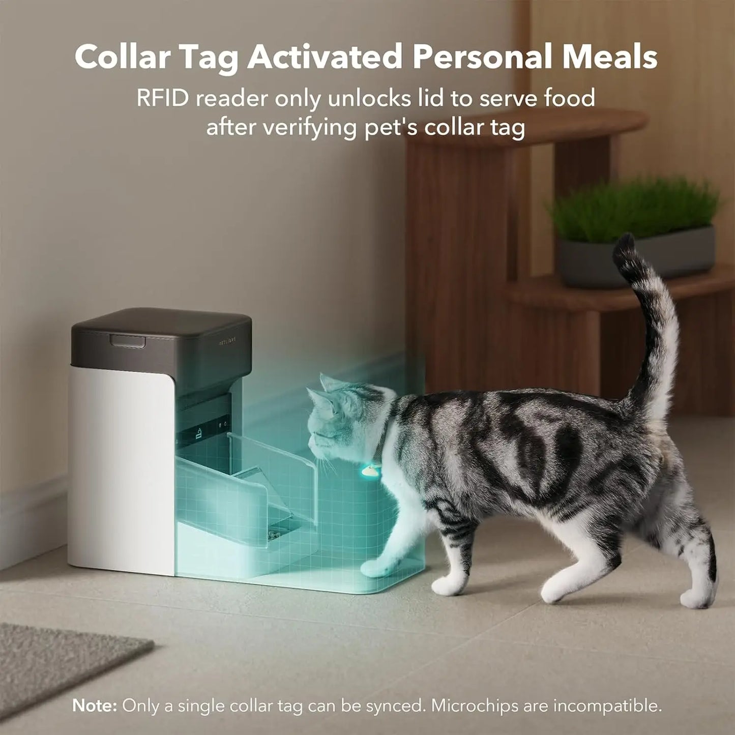 Cat Feeder, 5G Wi-Fi Automatic Pet Feeder, 3L Auto Cat Feeder App Control