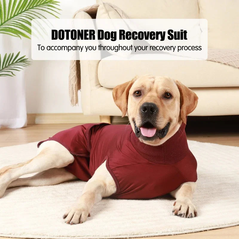 Recovery Suit for Dogs/Cats After Surgery