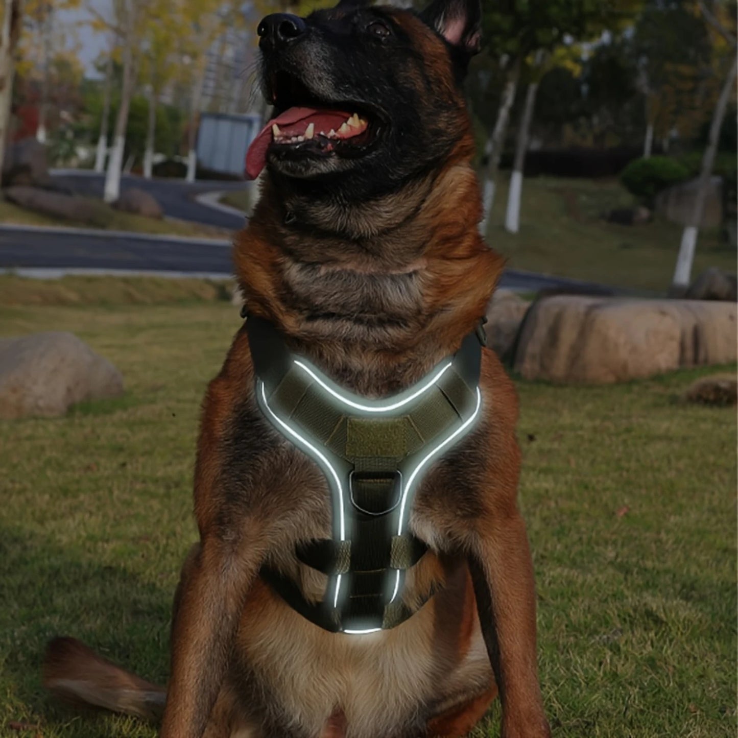 Heavy-Duty Dog Tactical Harness