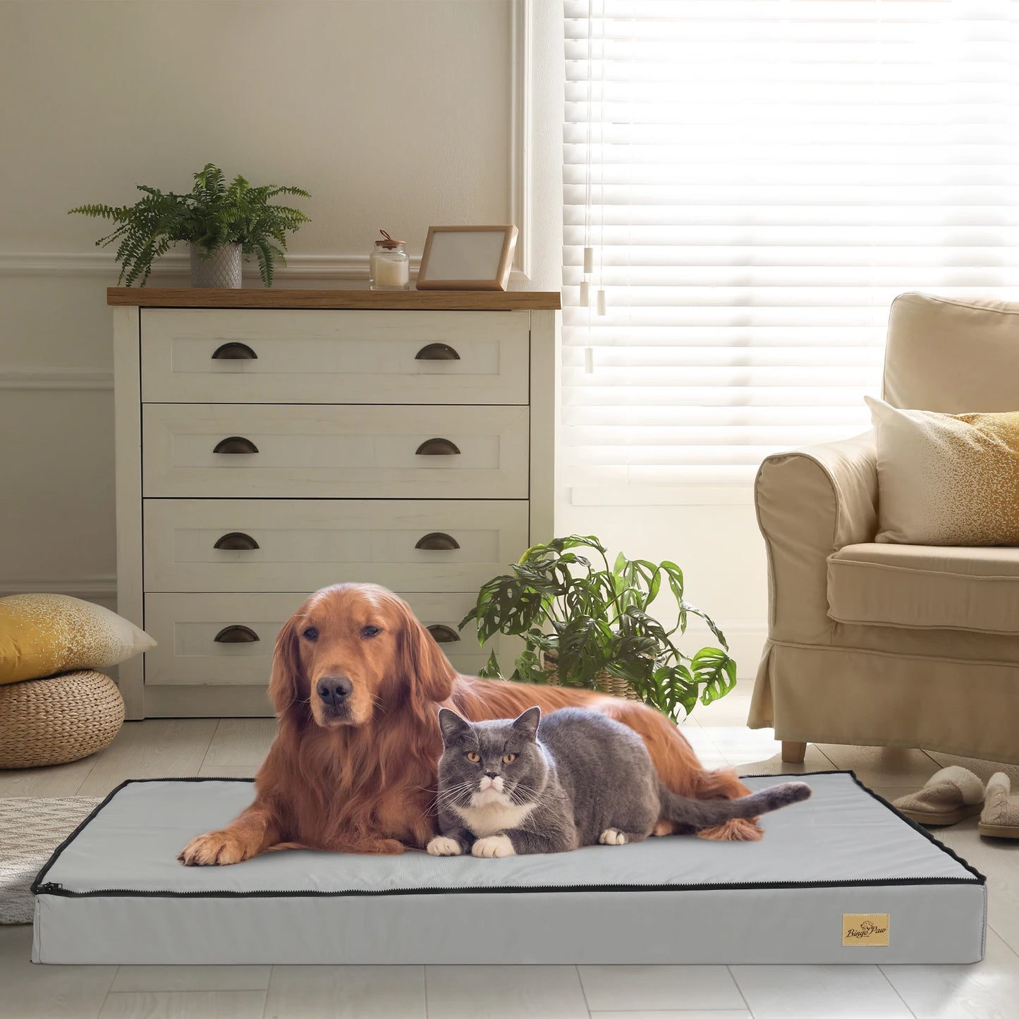 Orthopedic Large Dog Calming Bed