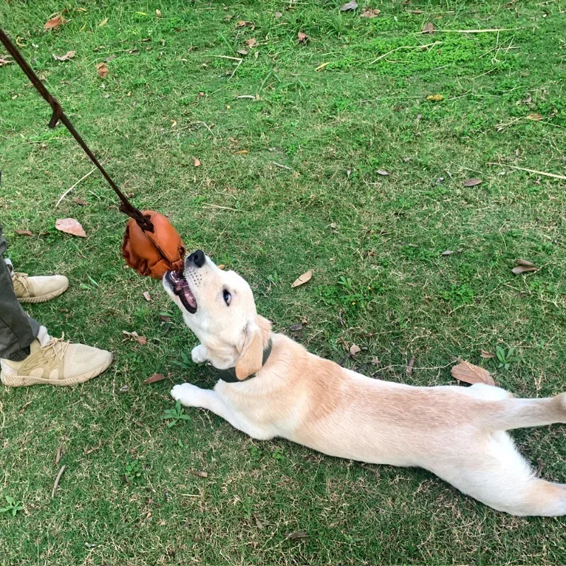 Leather Dog Training Ball -Tug Toy