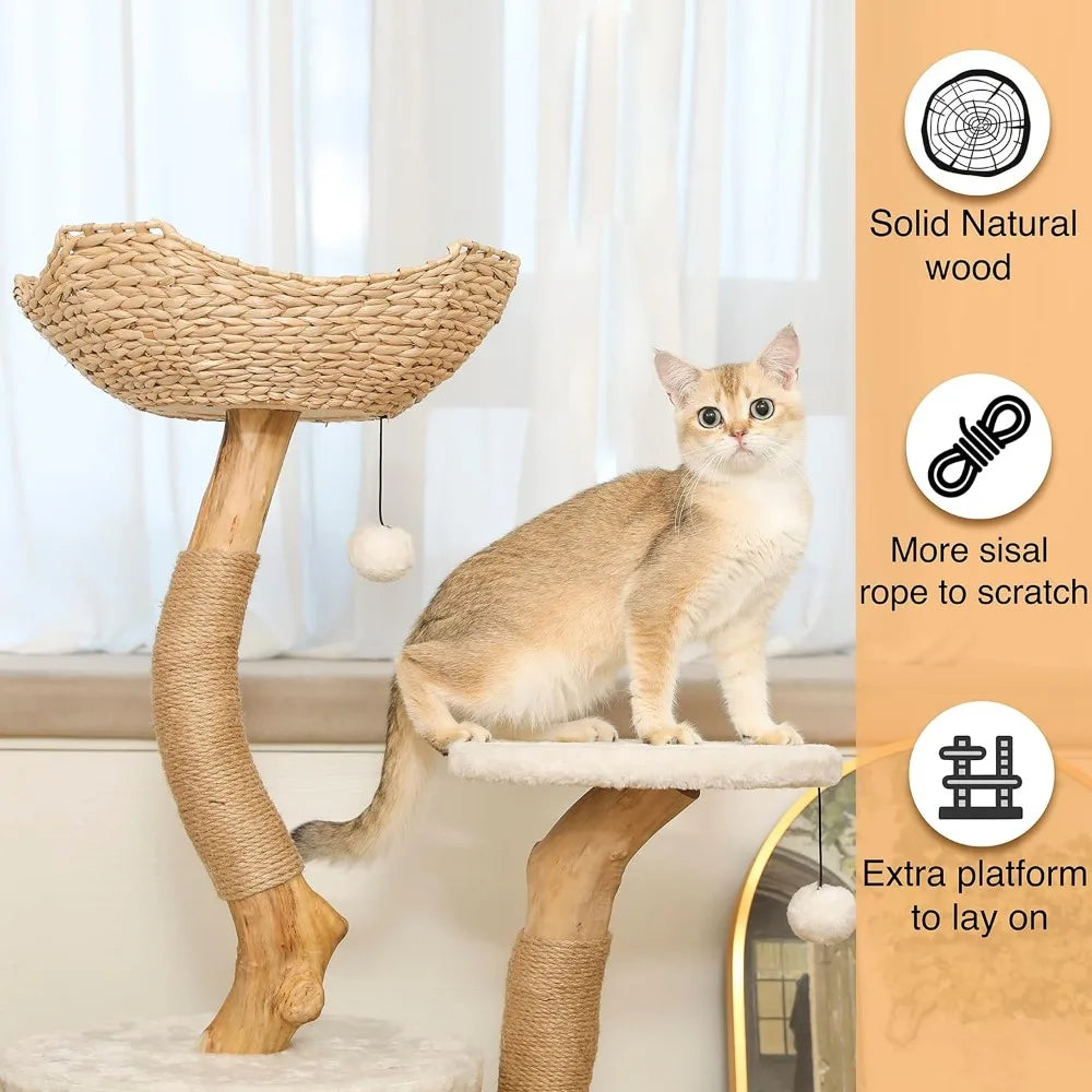 Real Wood Cat Tower With Scratch Post & Hiding Enclosure