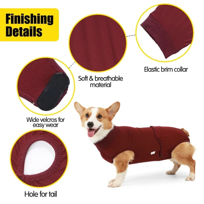 Recovery Suit for Dogs/Cats After Surgery