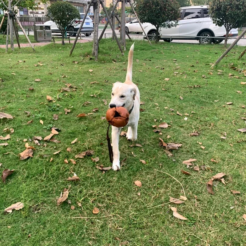 Leather Dog Training Ball -Tug Toy