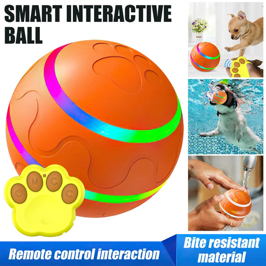 Smart Electric Ball, Remote Control